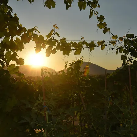 Lejlighed Anastasias Sarandë